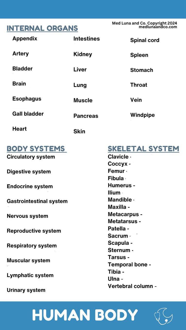 HUMAN BODY MEDICAL SPANISH BADGE