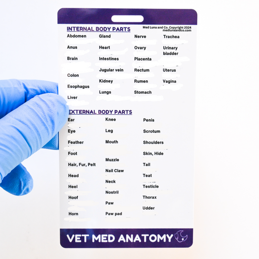 VETERINARY MEDICINE DISEASES + ANATOMY MEDICAL SPANISH BADGES